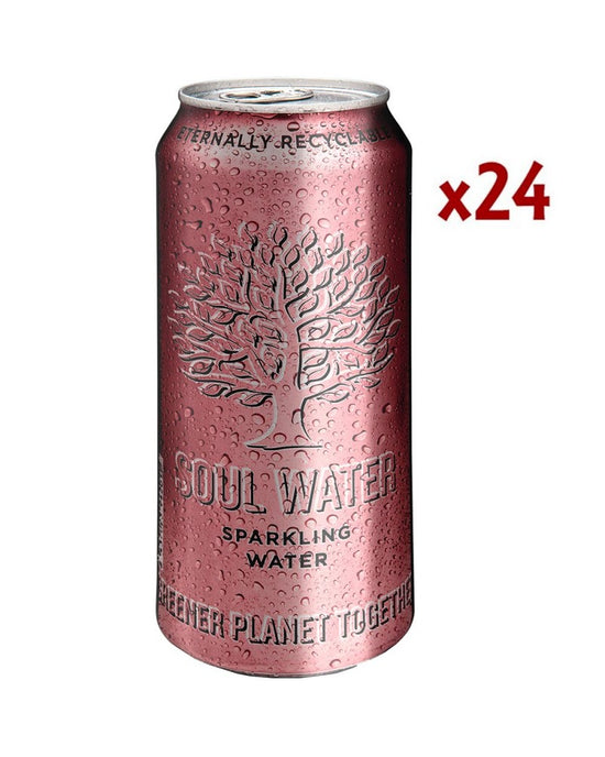 Soul water sparkling 50cl. caja 24unidades