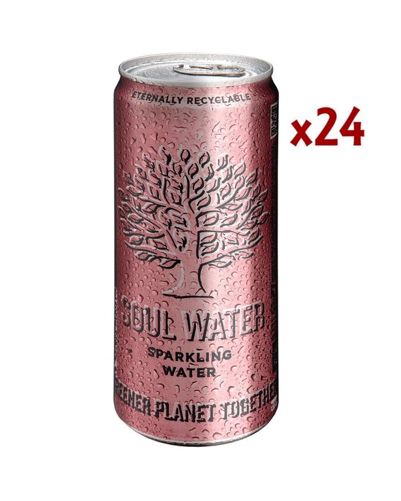 Soul water sparkling 33cl. caja 24unidades