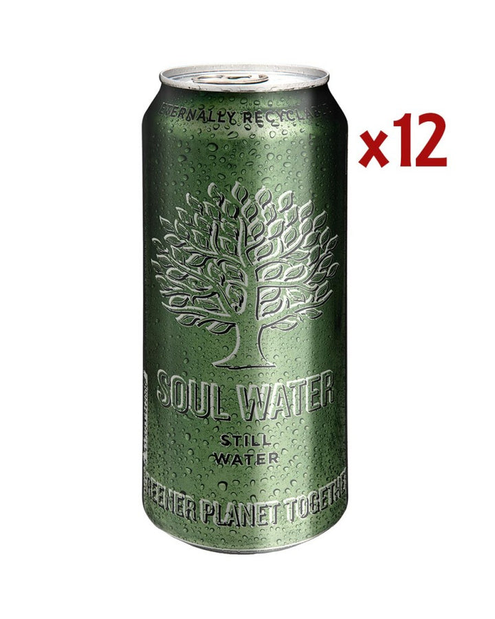 Soul water still 50cl. caja 12unidades