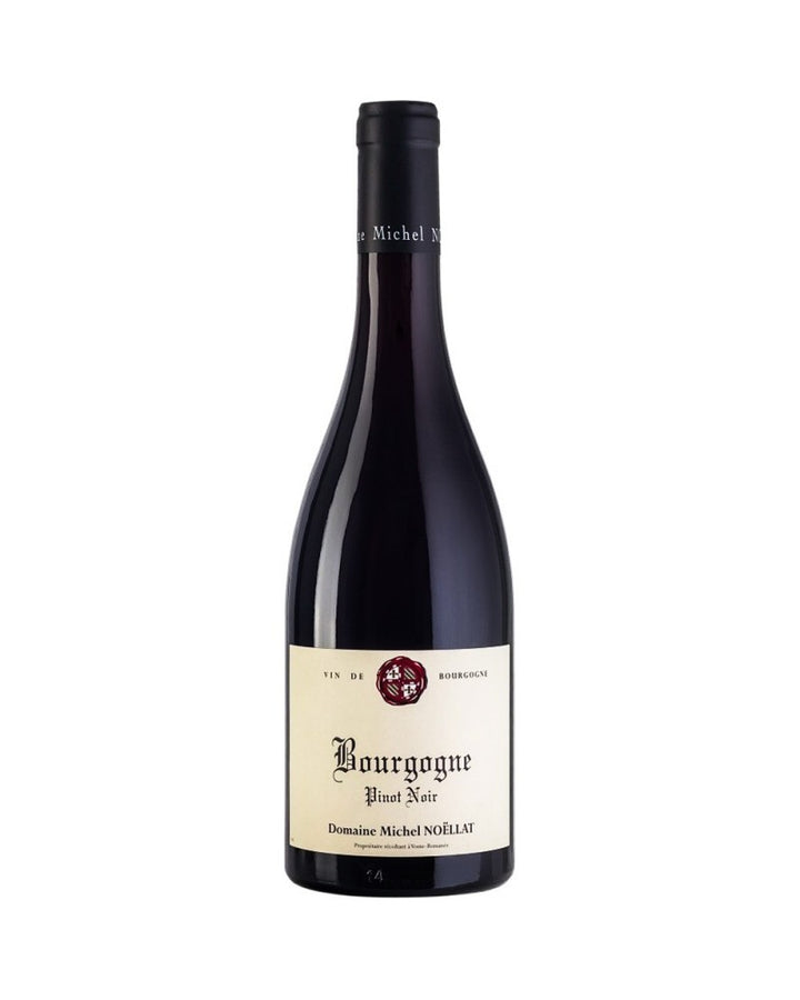 Michel Noellat Bourgogne Pinot Noir 2022