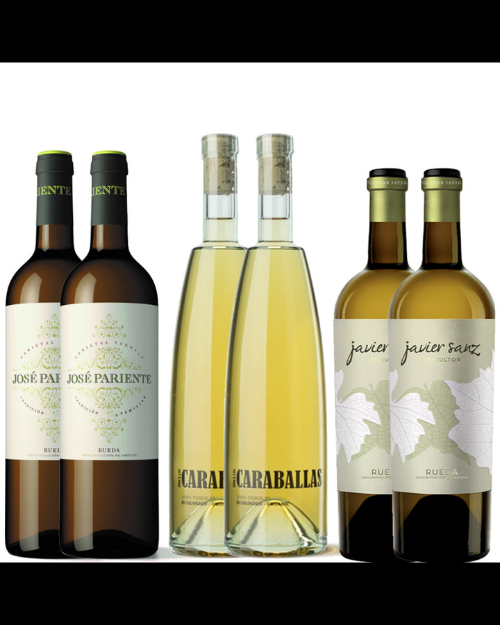 Pack 6 botellas Verdejo