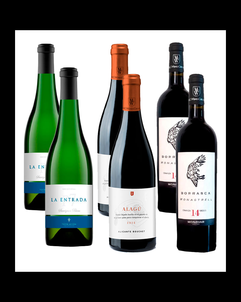 Pack MG WINES